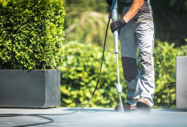 Best House Exterior Washing  in Burlington, WA