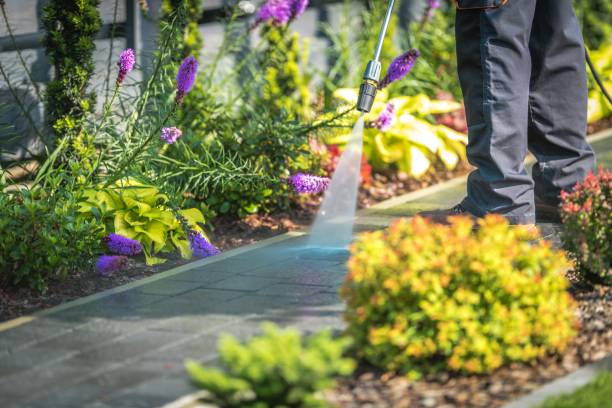 Winterizing Services in Burlington, WA